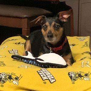 Meet your Posher, Tara